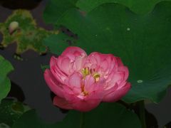 -沐仙湖湿地公园