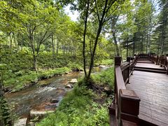 -汤旺河林海奇石景区