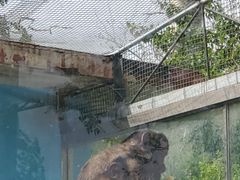 -秦皇岛野生动物园