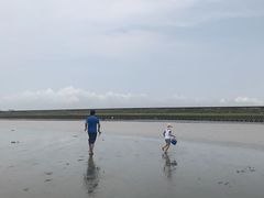 -南汇嘴观海公园