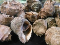 -雅逸居海鲜小厨