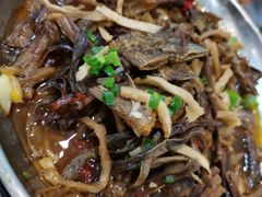 -鱼乐岛餐厅·户外花园主题餐厅