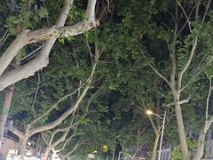 -健康路夜市