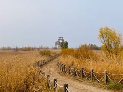 -野鸭湖国家湿地公园
