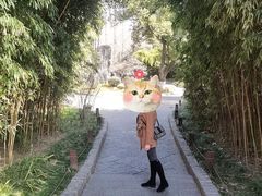 -习家池