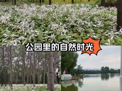 -森林公园(尖草坪区)