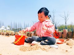 -上海长兴岛郊野公园