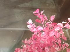 -重庆老火锅(长虹店)