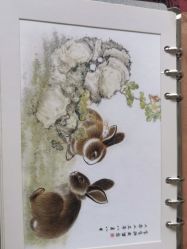 -天禧专业理胎发纪念品乐园·婴儿宝宝理发剃胎毛胎头胎毛笔定制店