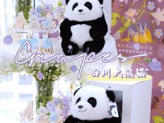 -成都大熊猫繁育研究基地
