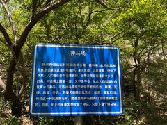 -濂泉响谷