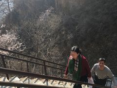-狼牙山风景区