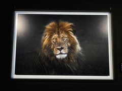 -罗红摄影艺术馆