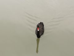 -长兴太湖图影湿地文化园