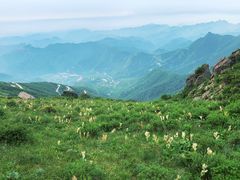 -白草畔自然风景区