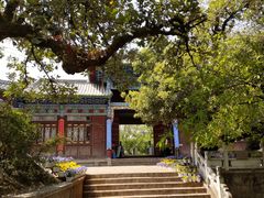 -黑龙潭公园