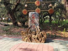 -北海金海湾红树林生态旅游区