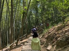 -上海佘山国家森林公园天马山园