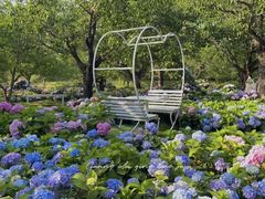 -名花谷生态庄园