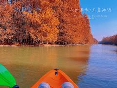 -上海海湾国家森林公园