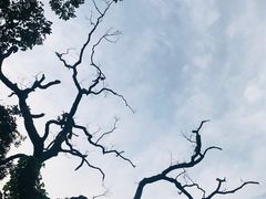 -宝岩生态观光园