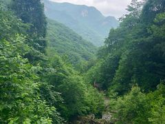 -龙道沟景区