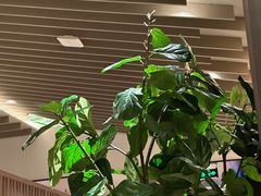 -浅锅和牛小锅放题(深业上城店)