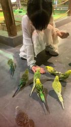 -酷嗒动物文化乐园(cutezoo西溪乐天城店)