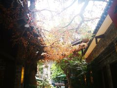 -云境生态园(红谷滩店)