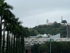 -金莲花广场
