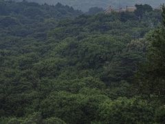 -妙峰山风景名胜区