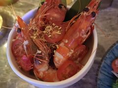 -Hi City·城市之巅