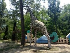 -南戴河国际娱乐中心