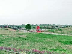 -空港花田景区
