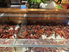 -鼎香缘海鲜自助火锅烤肉(锦辉购物广场店)