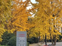 -四川大学(江安校区)