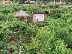 -河口景区