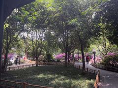 -成都武侯祠博物馆