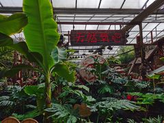 -呀路古热带植物园