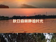 -天津金海湖