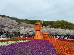 -苏州上方山国家森林公园