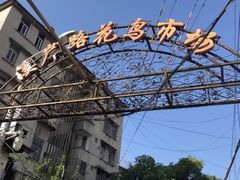 -溪岸路花鸟市场