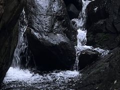 -大奇山国家森林公园