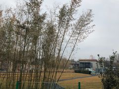 -百花洲