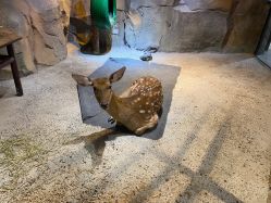 -酷嗒动物文化乐园(cutezoo西溪乐天城店)