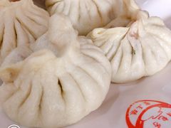 茴香肉饺子-宝正臻天津包子总店(金阳光居易店)