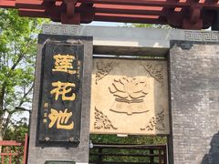 -莲花池公园