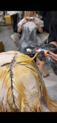 -3AM HAIR SALON烫发染发接发