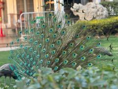 -J Create城市露营咖啡·简餐·宠物(上海动物园店)