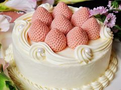 -壹点壹客·生日蛋糕(南山店)